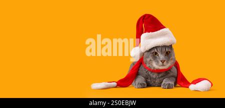Simpatico gatto con cappello di Babbo Natale e sciarpa su sfondo giallo con spazio per il testo. Festa di Natale Foto Stock