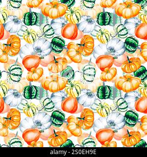Zucche. Disegno acquerello di zucche brillanti. Motivo senza cuciture con verdure su sfondo bianco. Foto Stock