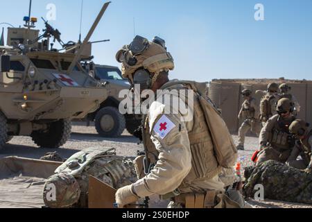 Un membro del servizio dell'esercito norvegese della Task Force Viking e dei soldati dell'esercito degli Stati Uniti assegnati al 3rd Battalion, 6th Field Artillery Regiment, 1st Brigade Combat Team, 10th Mountain Division, Quick Reaction Force, risponde alle vittime durante un esercizio di difesa di base sulla base aerea di al Asad, 17 dicembre 2024 l'addestramento mirava a migliorare la risposta alle emergenze e le capacità di assistenza alle vittime mediche per migliorare le operazioni della Coalizione. La Coalizione rimane pronta a continuare a consigliare, assistere e sostenere le forze partner per garantire la sconfitta duratura dell'ISIS e delle sue ideologie radicali ed estremiste. (Fo. Esercito USA Foto Stock