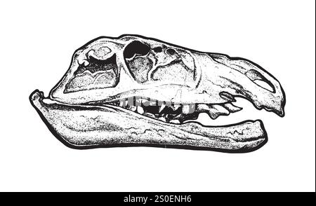 Teschio di dinosauro in stile dot work, teschio dino tatuaggio, archeologia preistorica vettoriale icona fossile. Adesivo per incisione rettile Jurassic, triceratops Illustrazione Vettoriale