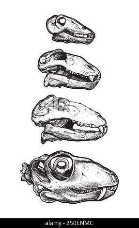 Teschio di dinosauro in stile dot work, teschio dino tatuaggio, archeologia preistorica vettoriale icona fossile. Adesivo per incisione rettile Jurassic, triceratops Illustrazione Vettoriale