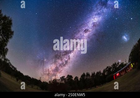 La via Lattea e le piste di polvere scura sopra gli alberi, nuovo Galles del Sud, Australia. Foto Stock