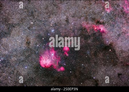 IC 2948, la Nebulosa di pollo in corsa, che circonda la stella Lambda Centauri. Foto Stock