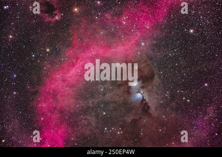 Messier 78 e Barnard's Loop in Orion, incastonati tra nuvole scure di polvere interstellare. Foto Stock