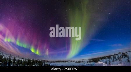 Panorama degli archi aurorali di livello KP1 al chiaro di luna, Churchill, Manitoba, Canada. Foto Stock