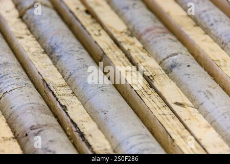 Una fila di tavole di legno con alcuni di loro che hanno scritto su di loro. La scritta è sbiadita e le tavole sono intemprate Foto Stock