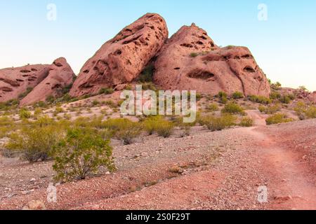 Un paesaggio roccioso desertico con un sentiero che conduce attraverso di esso. Il percorso è circondato da cactus e altre piante desertiche. Il cielo è limpido e blu, e la S Foto Stock