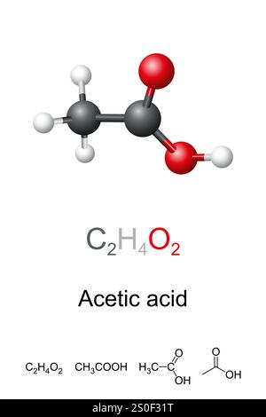 Acido acetico, acido etanoico, modello molecolare e struttura chimica. Liquido acido, incolore e composto organico con formula chimica CH3COOH. Foto Stock