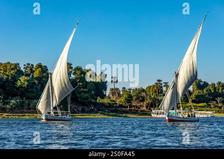 Assuan, Egitto; 18 gennaio 2024: Osserva la bellezza delle falce del fiume Nilo che navigano attraverso la terra dei faraoni. Queste tradizionali barche a vela di Foto Stock