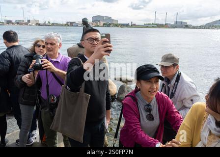 Copenhagen, Danimarca, gente affollata, turisti cinesi, visita Stauto pubblico, la Sirenetta è una statua in bronzo di Edvard Eriksen, selfie Foto Stock