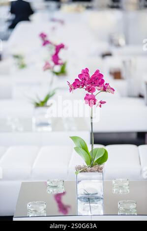 area ricevimento per matrimoni Foto Stock