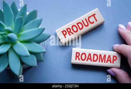 Simbolo della roadmap del prodotto. Concetto roadmap dei prodotti su blocchi di legno. Mano d'affari. Splendido sfondo grigio con piante succulente. Affari e. Foto Stock