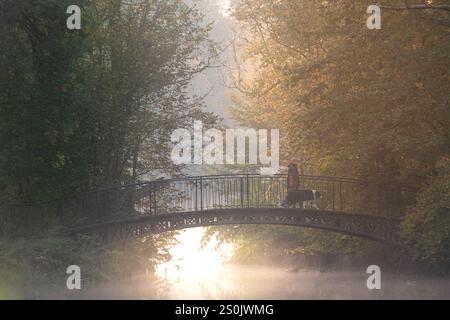 Man Walking Border Collie in Park at Sunrise - atmosfera maestosa e nebbiosa Foto Stock