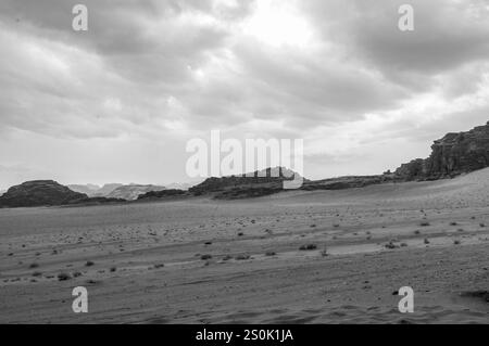 Un paesaggio desertico desolato con un cielo nuvoloso. Il cielo è coperto e il sole non è visibile. Il paesaggio è arido e vuoto, senza segni di lif Foto Stock