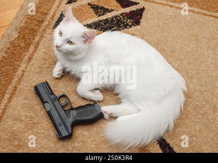 Il gatto bianco soffice dagli occhi marroni si trova vicino alla pistola su un morbido tappeto marrone in camera. Decorazioni per la casa con gatto e pistola Foto Stock