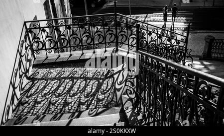 Una fotografia in bianco e nero di una scala con ringhiere di ferro ornate che gettano ombre intricate sui gradini sottostanti. Due figure si vedono camminare in Th Foto Stock