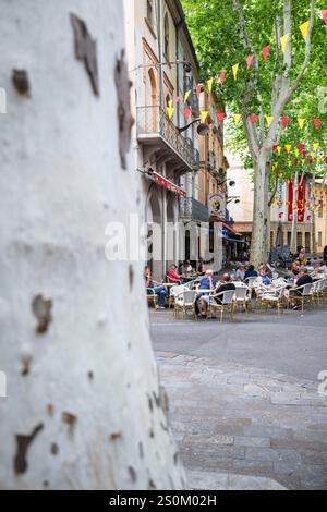 Gli ospiti si siedono sotto gli alberi di sicomoro di fronte al bar le Grand Cafe, uno dei preferiti dagli artisti, nella città vecchia di Cerét, Occitania, nel sud della Francia Foto Stock