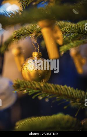 Baule natalizie dorate decorate con gocce d'acqua, appese su un albero verde in uno splendore festivo, mercatino di vitello natalizio, Foresta Nera, Germania, Europa Foto Stock