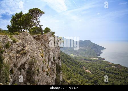 Un impressionante panorama di una parete rocciosa con alberi sopra una costa e il mare blu, vista sulle scogliere di Maiorca a ovest, sui Monti Tramuntana, nelle vicinanze Foto Stock