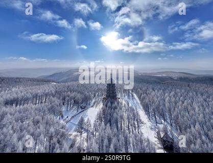 Pechino, Cina. 27 dicembre 2024. Una foto aerea scattata il 27 dicembre 2024 mostra una vista invernale del Saihanba National Forest Park nella città di Chengde, nella provincia di Hebei, nella Cina settentrionale. Crediti: MU Yu/Xinhua/Alamy Live News Foto Stock