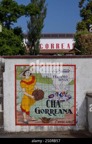 Ingresso a Plantações de chá Gorreana (fabbrica di tè Gorreana), Maia, isola di Sao Miguel, Azzorre Foto Stock