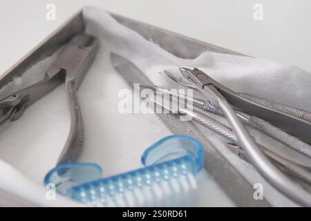 Strumenti e attrezzature dentali professionali organizzati in modo ordinato in una custodia per l'uso Foto Stock