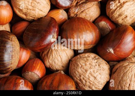 Gruppo di castagne, noci e nocciole, noci miste Foto Stock