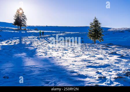 Escursionisti con racchette da neve nelle montagne del Giura Snowy Vaud, Svizzera Foto Stock