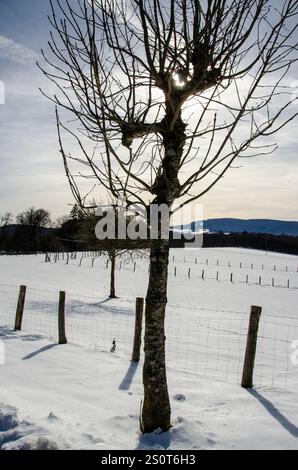 Snow area coperta di Orreaga-Roncesvalles in inverno, in Navarra. Spagna. Europa Foto Stock