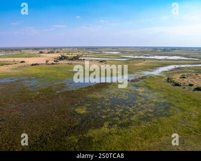 Paesaggio in Botswana dall'alto. Volo da Maun al Delta dell'Okavango in elicottero. Foto Stock