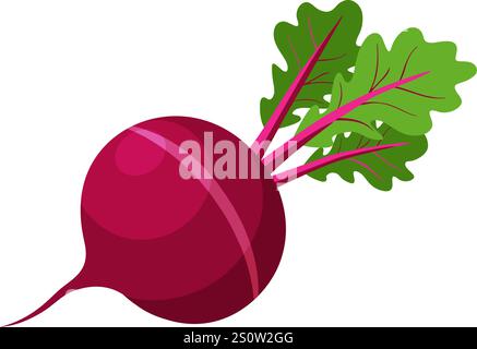 verdure di barbabietola per cucinare i pasti. Un elemento luminoso. Design piatto alla moda e disegnato a mano isolato per il design. Illustrazione vettoriale Illustrazione Vettoriale