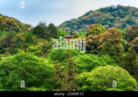 Vista panoramica con la pagoda di Kiyomizu-dera Koyasunoto situata nel complesso del tempio di Kiyomizu-dera a Kyoto. Foto Stock