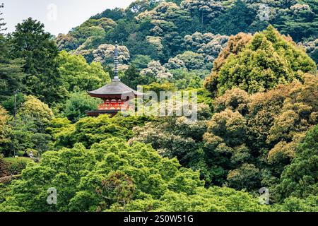 Vista panoramica con la pagoda di Kiyomizu-dera Koyasunoto situata nel complesso del tempio di Kiyomizu-dera a Kyoto. Foto Stock
