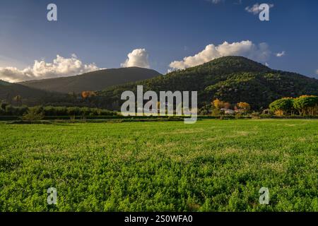 CAN Marc e CAN Vila, in un pomeriggio autunnale vicino a Montseny (Vallès Oriental, Barcellona, ​​Catalonia, Spagna) ESP: Camino de CAN Marc y CAN Vila Foto Stock