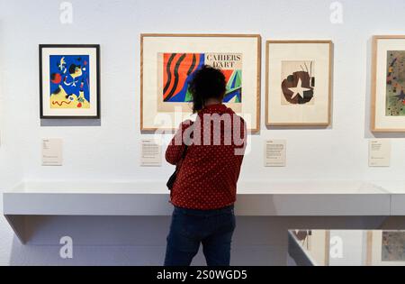 Oltre le immagini, Henri Matisse Joan Miró, Fundació Joan Miró, Barcellona, Spagna Foto Stock