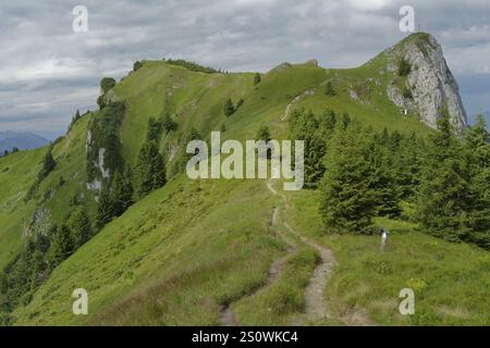 Escursioni in montagna nella regione di Brauneck, sentiero, Vorderer Kirchstein, Idealhang, Benediktenwand, Lenggries, Bad Toelz, Baviera, Alpi, prea Foto Stock