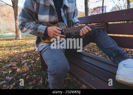 L'appassionato siede su una panchina di legno in un parco, giocando all'ukulele tra le foglie autunnali. Circondato da alberi e bagnato dalla luce soffusa del sole, gode di un tr Foto Stock