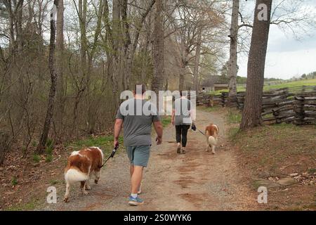 Hardy, Virginia, Stati Uniti. Persone che camminano con i cani su un sentiero al Booker T. Washington National Monument. Foto Stock