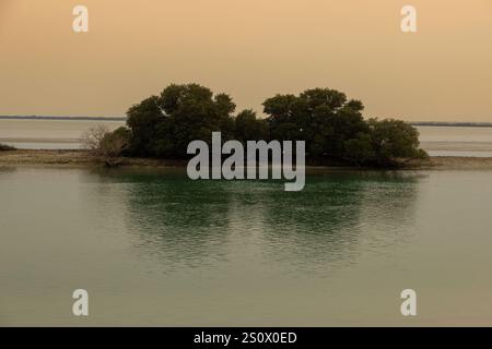 Isola viola al Khore Doha Qatar @5/12/2024 Foto Stock