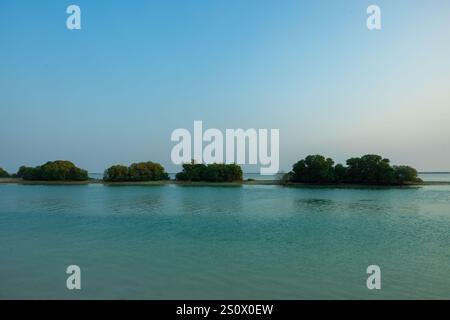 Isola viola al Khore Doha Qatar @5/12/2024 Foto Stock