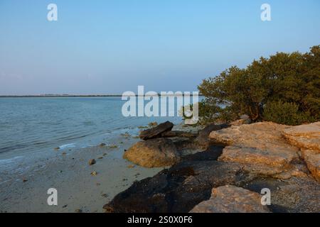 Isola viola al Khore Doha Qatar @5/12/2024 Foto Stock