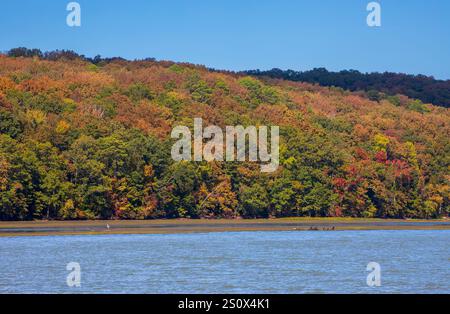Colori autunnali sul fiume Tennessee vicino a Scottsboro, Alabama Foto Stock