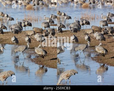 White Water Draw Stereogram 28 Dic 2024 13 Foto Stock