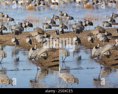 White Water Draw Stereogram 28 Dic 2024 11 Foto Stock
