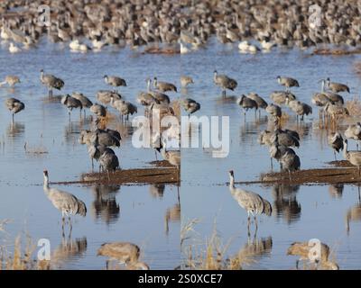 White Water Draw Stereogram 28 Dec 2024 10 Foto Stock