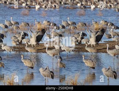 White Water Draw Stereogram 28 Dic 2024 5 Foto Stock