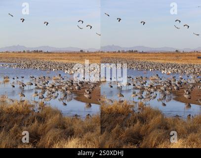 White Water Draw Stereogram 28 Dic 2024 3 Foto Stock