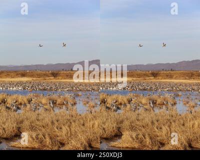 White Water Draw Stereogram 28 Dic 2024 1 Foto Stock