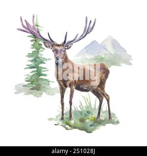 Cervi con corna sullo sfondo di montagne e abeti. Illustrazione ad acquerello disegnata a mano isolata su bianco. Biglietti primaverili, striscioni, invito Foto Stock