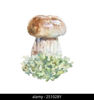 Boletus fungo bianco commestibile con cappuccio marrone su muschio verde, lichene. Illustrazione ad acquerello disegnata a mano isolata su bianco. Per biglietti d'auguri, invitati Foto Stock